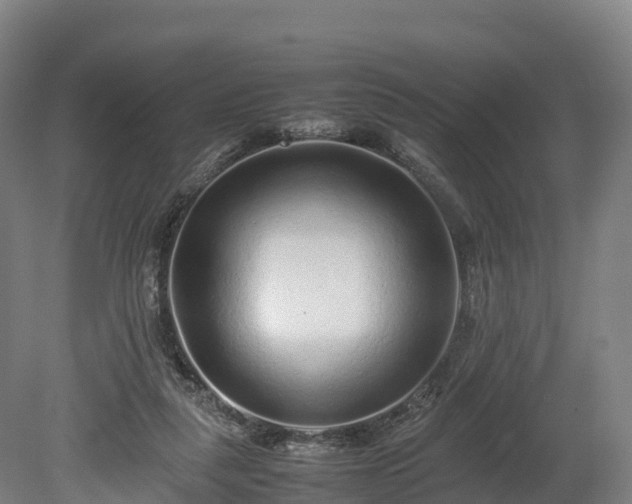X0000080110259200612151654