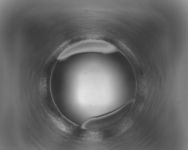 X0000080110260200612151654