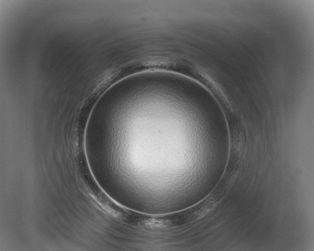 X0000080110261200612151654