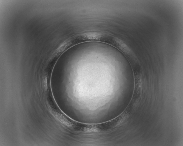 X0000080110262200612151654