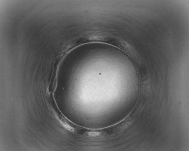 X0000080110265200612151654