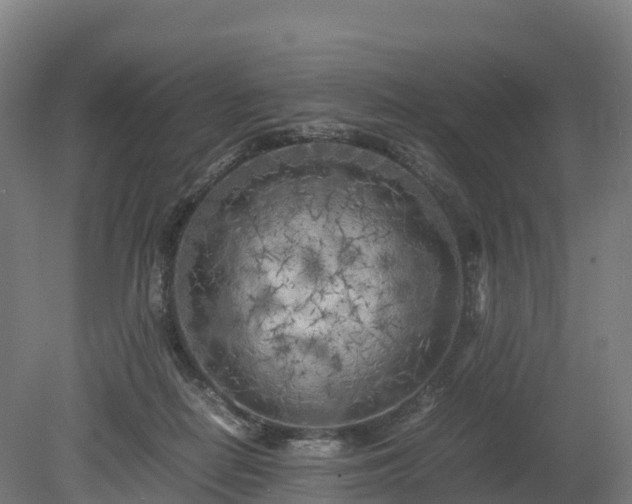 X0000080110266200612151654