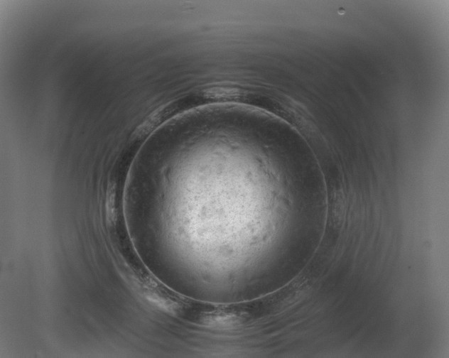 X0000080110267200612151654