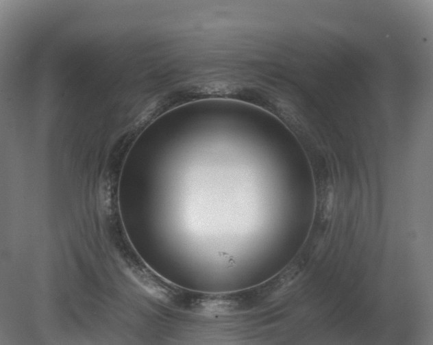 X0000080110268200612151654
