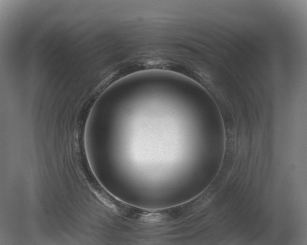 X0000080110269200612151654