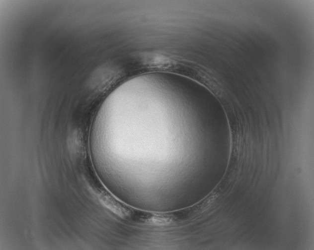 X0000080110270200612151654