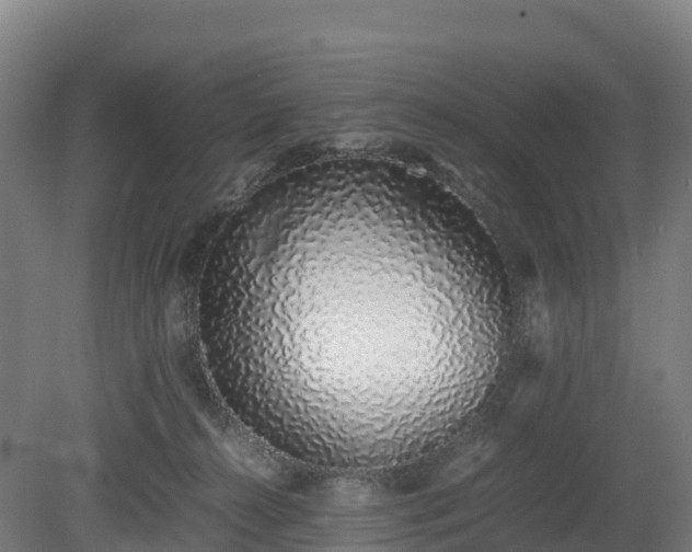 X0000080110272200612151654