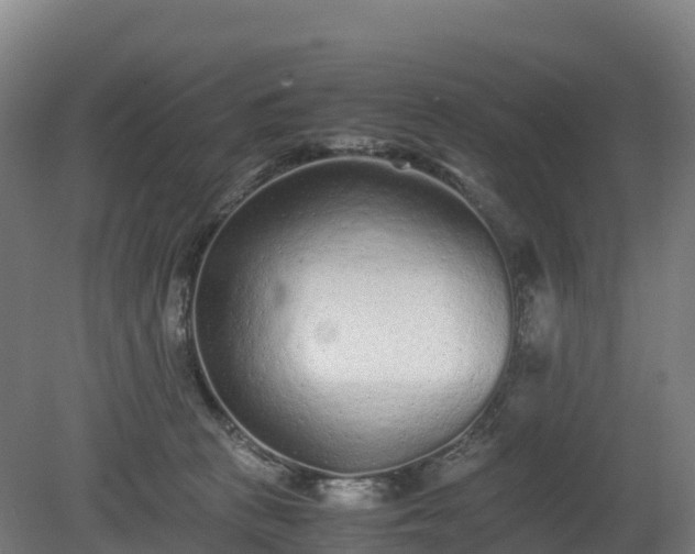X0000080110273200612151654