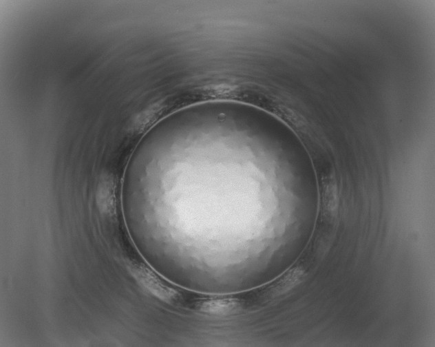 X0000080110274200612151654