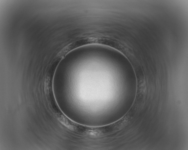 X0000080110275200612151654