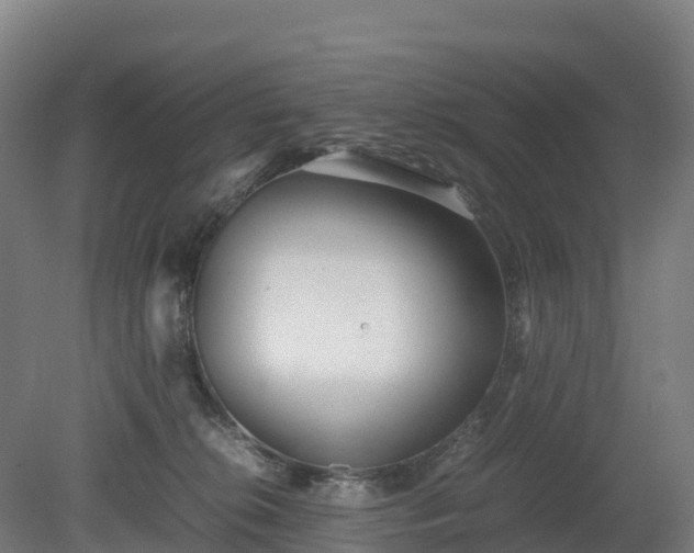 X0000080110276200612151654