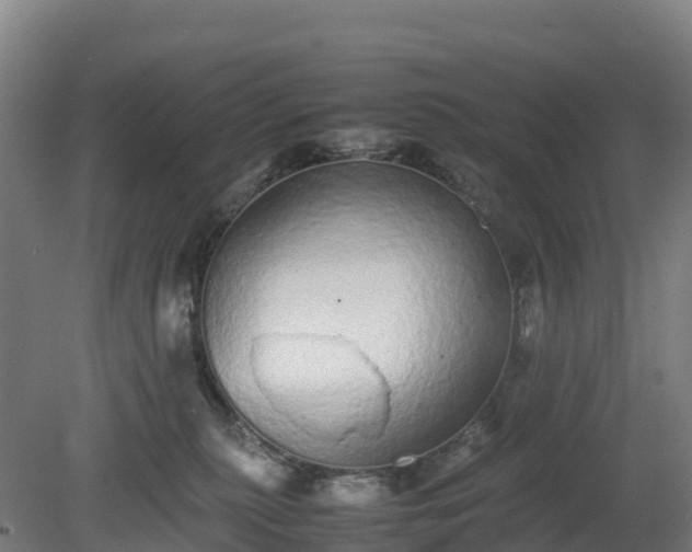 X0000080110279200612151654
