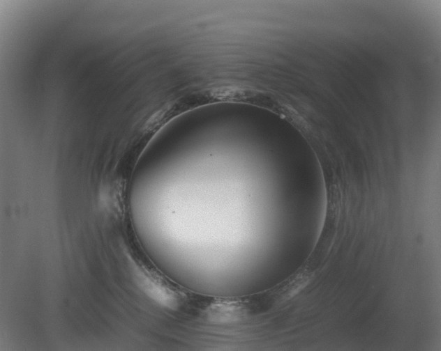 X0000080110280200612151654