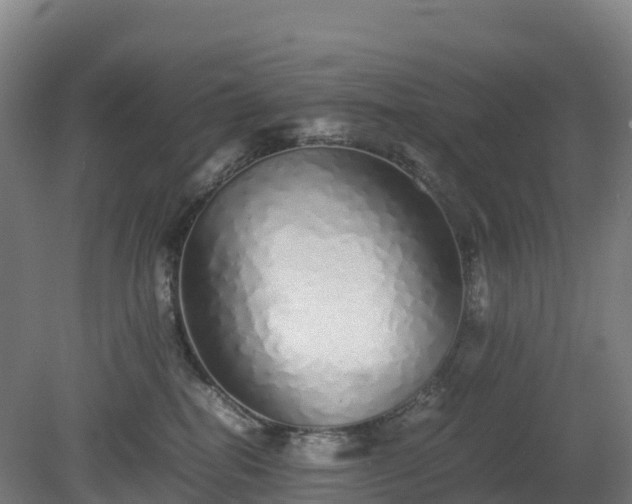 X0000080110282200612151654