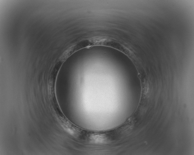 X0000080110283200612151655