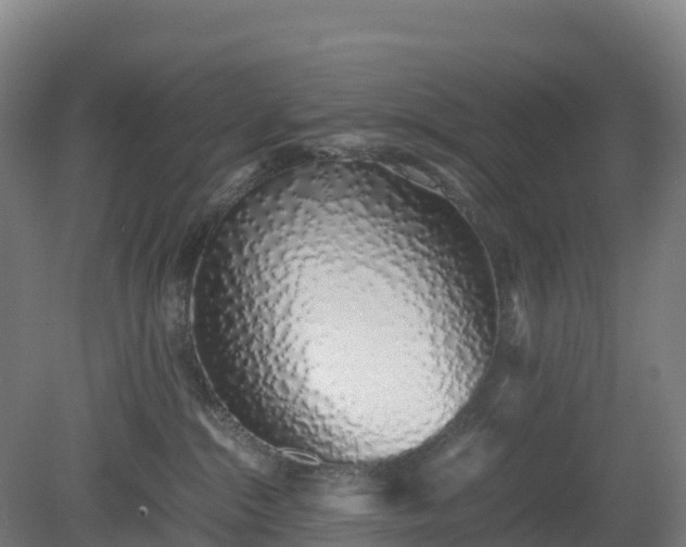 X0000080110284200612151655