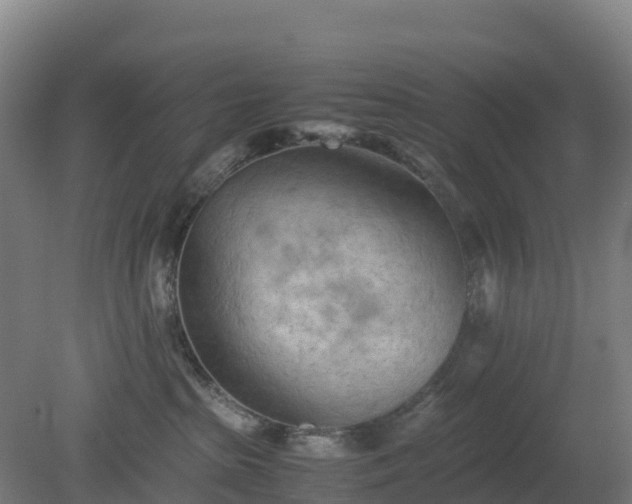 X0000080110285200612151655