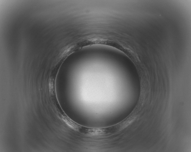 X0000080110288200612151655