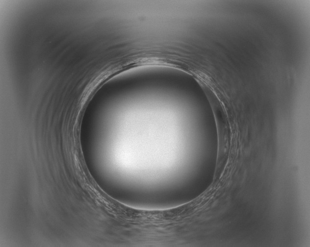 X0000080110289200612151654