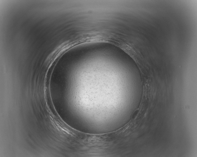 X0000080110290200612151654
