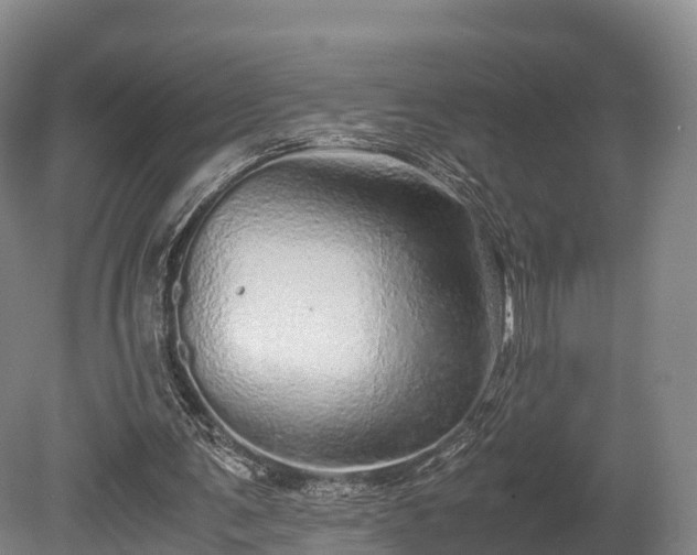 X0000080110291200612151654
