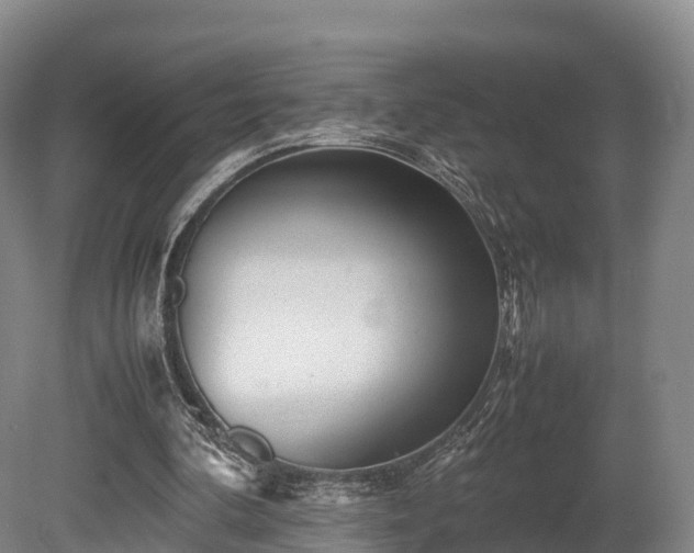 X0000080110292200612151654