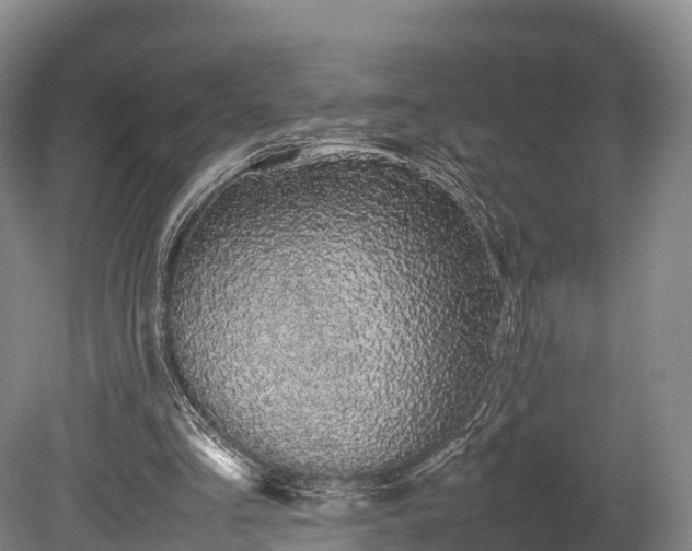 X0000080110293200612151654