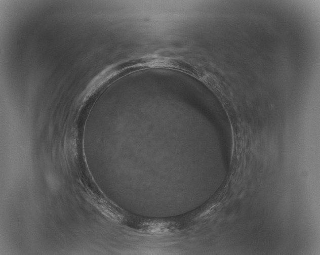 X0000080110295200612151654