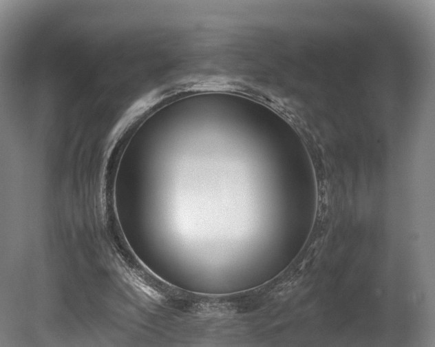 X0000080110296200612151654