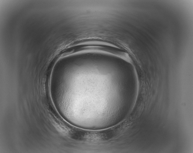 X0000080110299200612151654