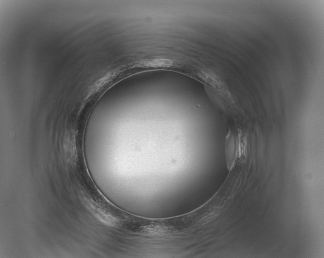 X0000080110300200612151654