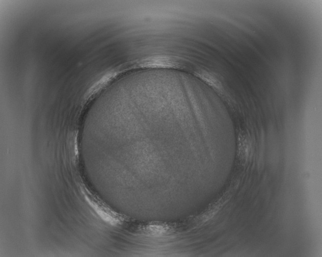 X0000080110302200612151654