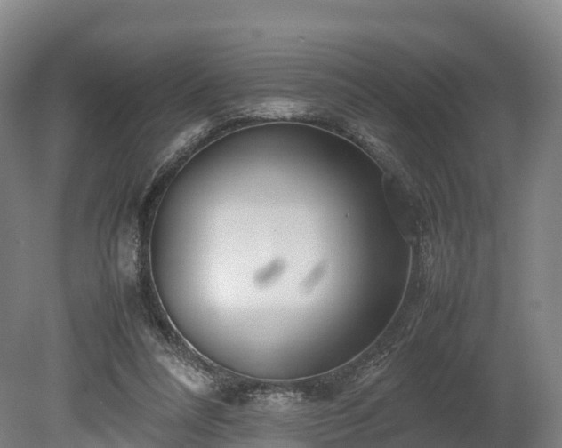 X0000080110304200612151654