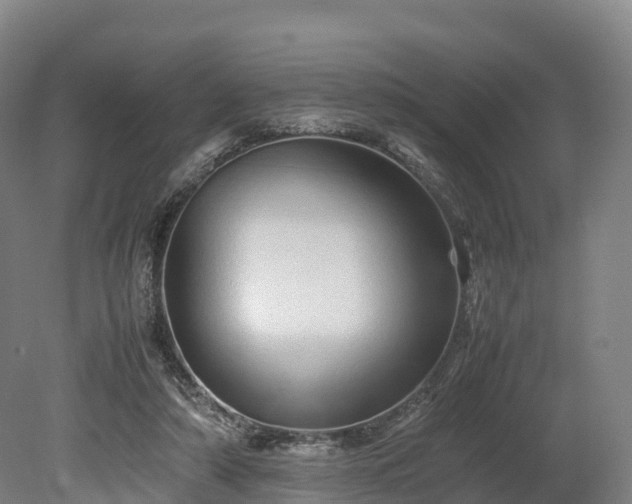 X0000080110306200612151653