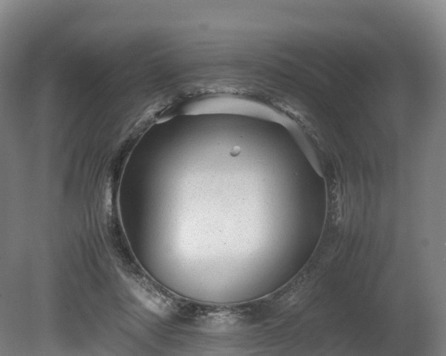 X0000080110310200612151653