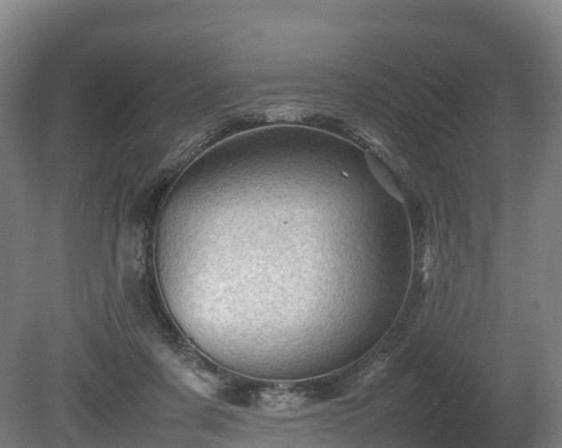 X0000080110311200612151653
