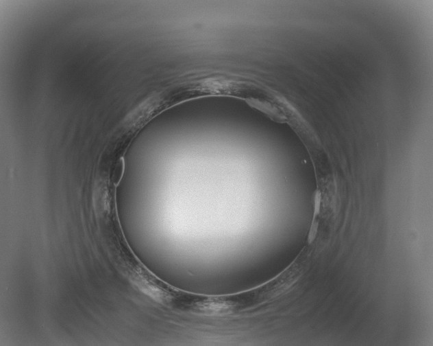 X0000080110313200612151653