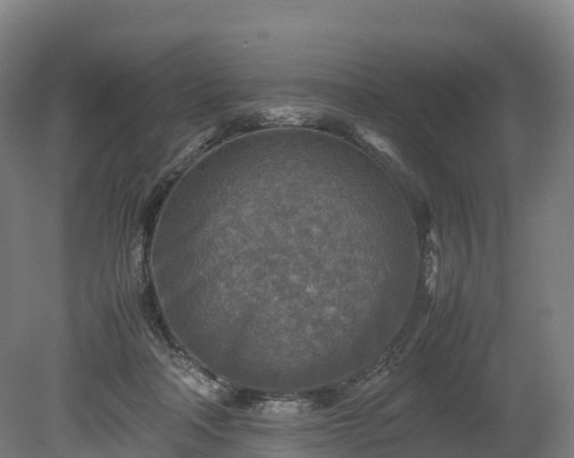 X0000080110314200612151653