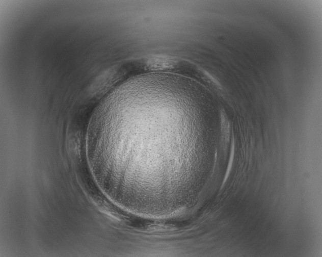 X0000080110315200612151653