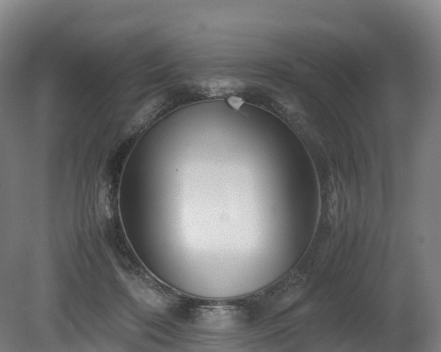 X0000080110316200612151653