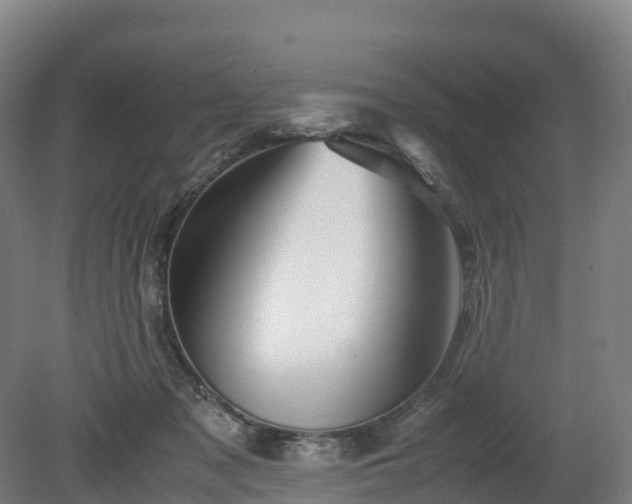 X0000080110317200612151653