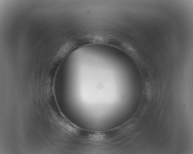 X0000080110318200612151653
