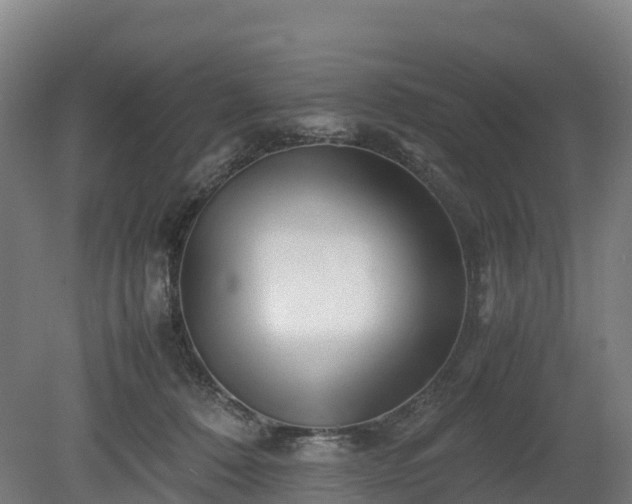 X0000080110320200612151653