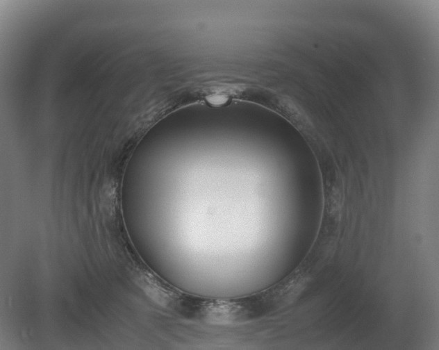 X0000080110321200612151653