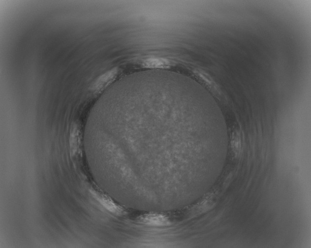 X0000080110322200612151653