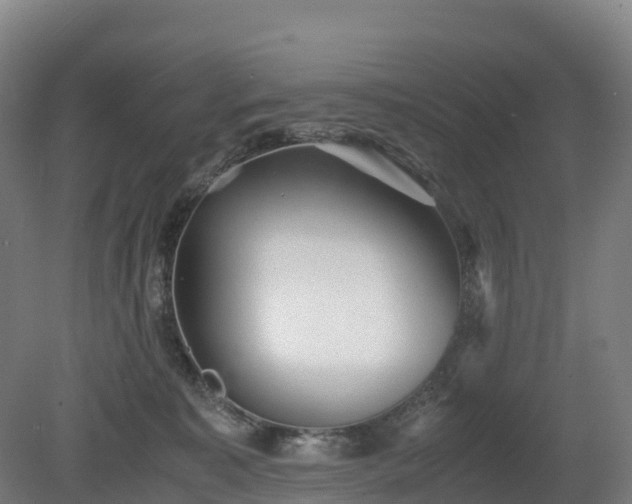 X0000080110323200612151653