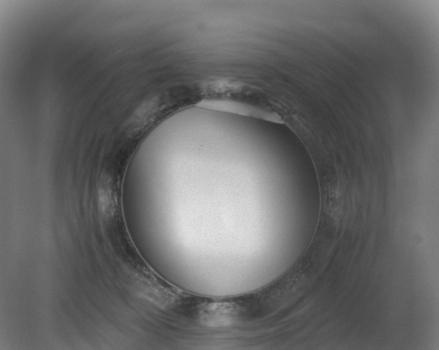 X0000080110324200612151653