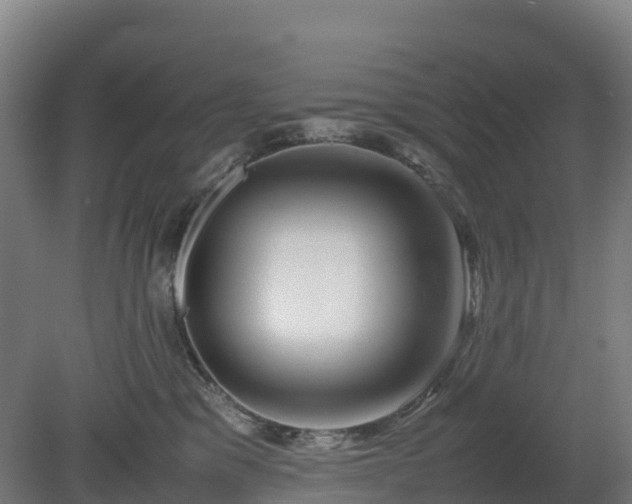 X0000080110329200612151653