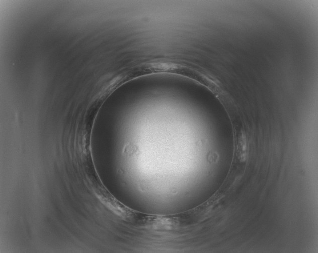 X0000080110330200612151653