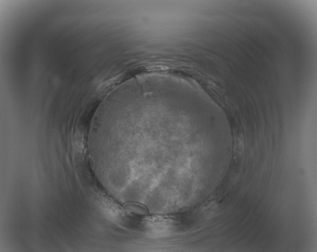 X0000080110331200612151653